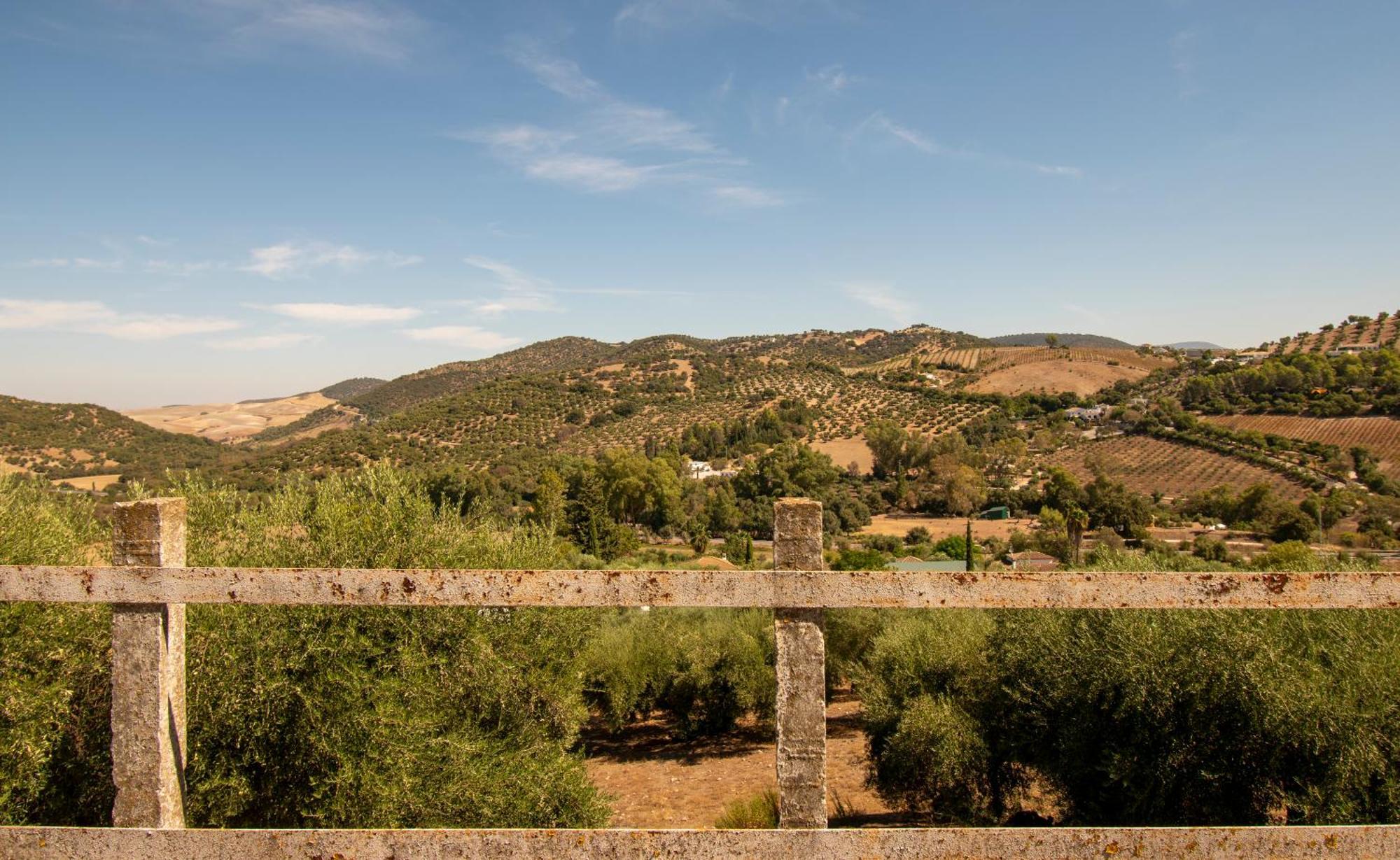 Casa Rural El Carmen プラド・デル・レイ エクステリア 写真