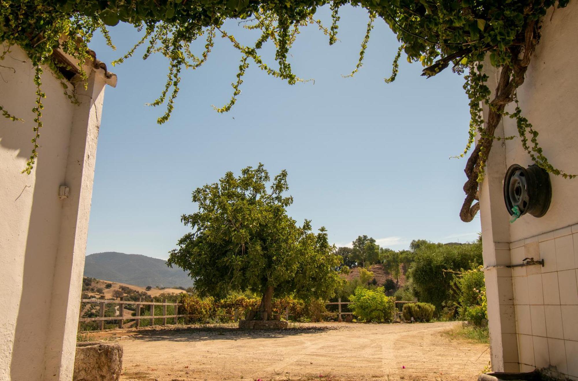 Casa Rural El Carmen プラド・デル・レイ エクステリア 写真
