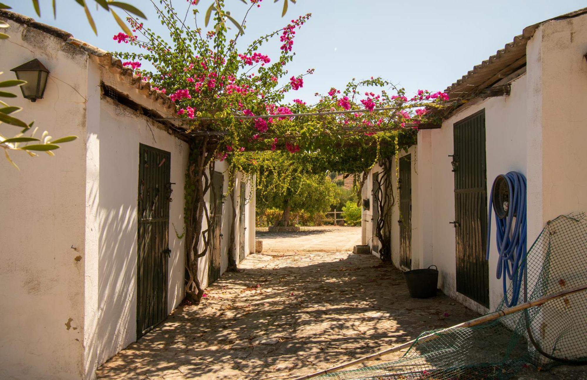 Casa Rural El Carmen プラド・デル・レイ エクステリア 写真